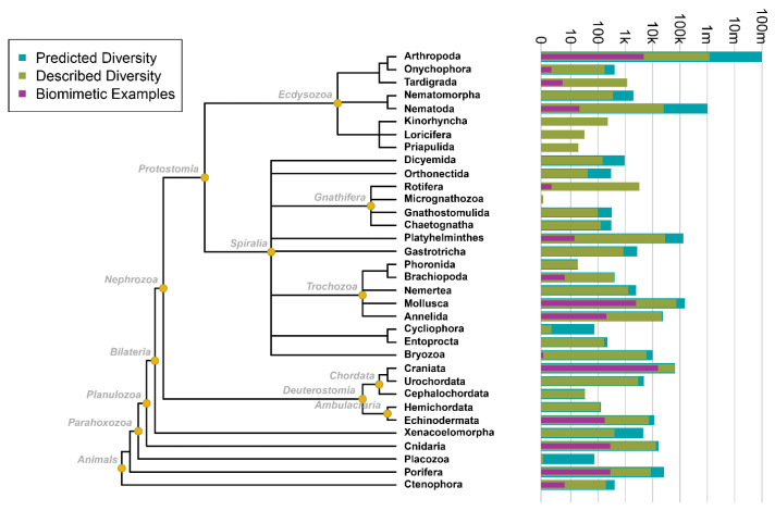 A Call for Bio-Inspired Technologies: Promises and Challenges for Ecosystem Service Replacement.