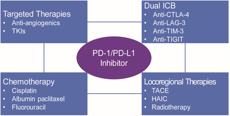 Angiogenesis and Immunosuppressive Niche in Hepatocellular Carcinoma: Reshaping Vascular - Immune Axis to Potentiate antiPD - 1/PD - L1 Therapy.