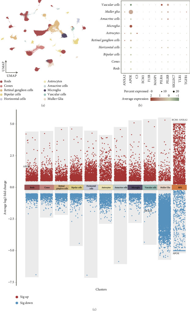 Genetically Prioritized Plasma Proteins as Candidate Therapeutic Targets for Dry Age-Related Macular Degeneration.