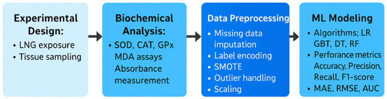 Integrating Experimental Toxicology and Machine Learning to Model Levonorgestrel-Induced Oxidative Damage in Zebrafish.