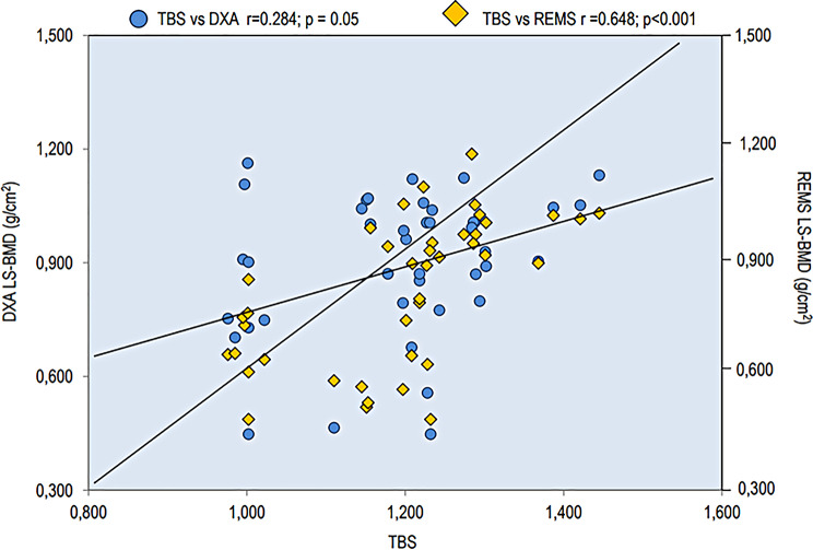 Clinical application of radiofrequency echographic multi-spectrometry (REMS) for diagnosis and follow-up in several rare bone disorders: a case series.