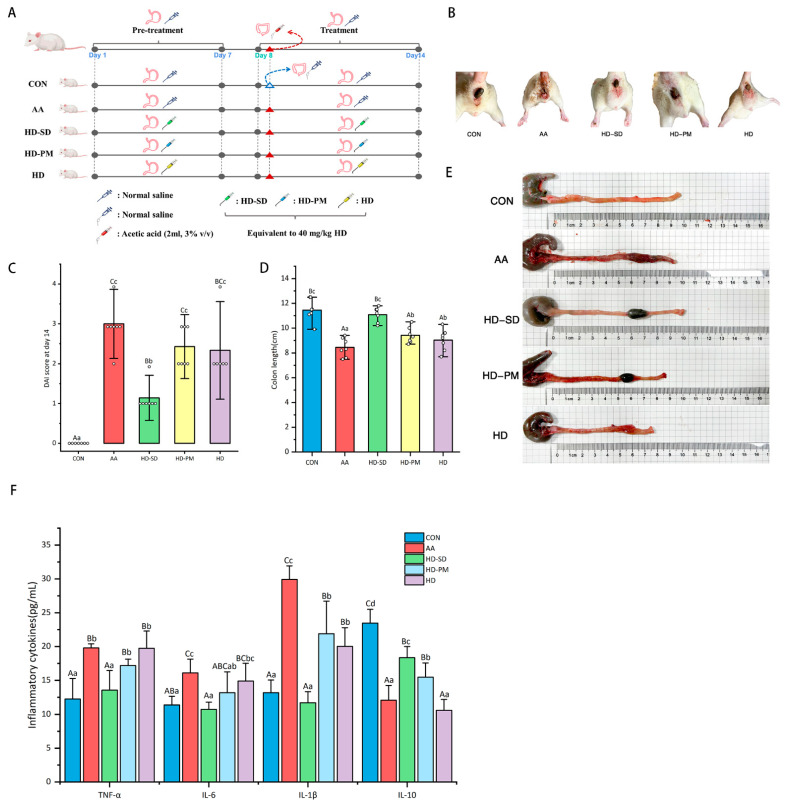 Solid Dispersion of Hesperidin Alleviates Acetic Acid-Induced Colitis Through Modulating the Gut Microbiota Dysbiosis in Rats.