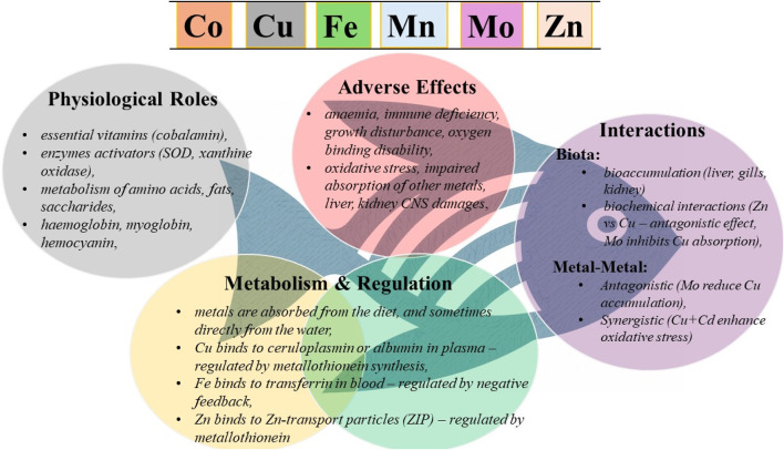 The biological relevance of potentially toxic metals in freshwater fish.