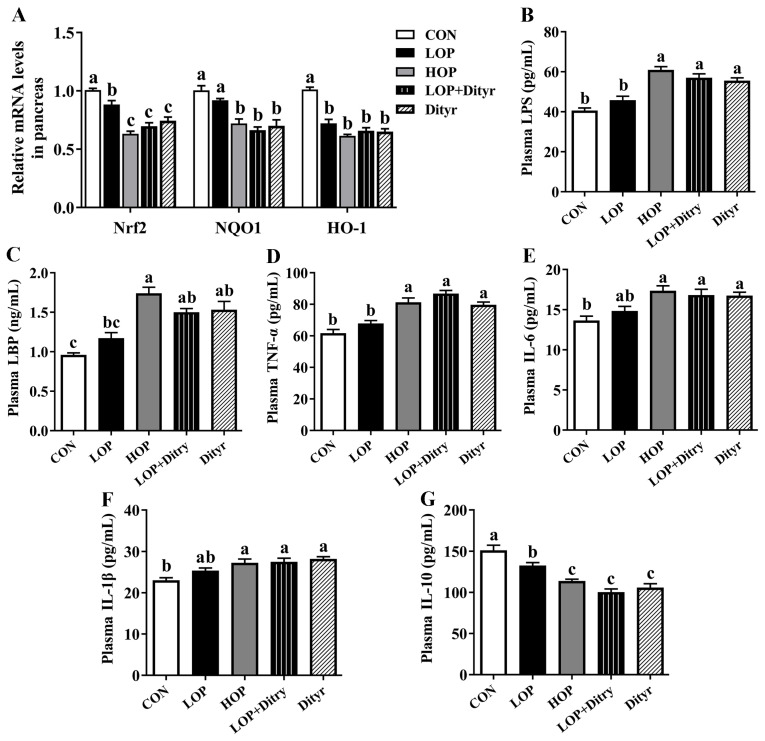 Dietary Dityrosine Impairs Glucose Homeostasis by Disrupting Thyroid Hormone Signaling in Pancreatic β-Cells.