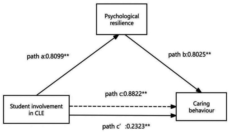 The impact of clinical learning environment factors on caring behaviors: the mediating role of psychological resilience among nursing intern students.
