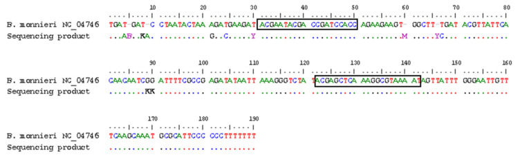 Exploiting Marker Genes for Reliable Botanical Authentication of <i>Bacopa monnieri</i> Products.