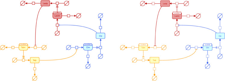 SBMLNetwork: A framework for standards-based visualization of biochemical models.
