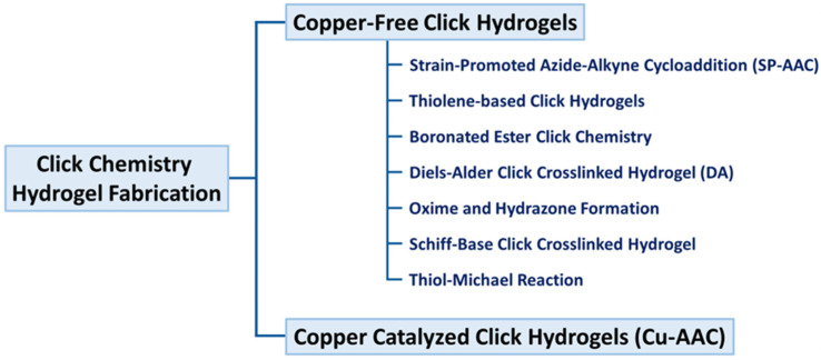 Click Chemistry-Based Hydrogels for Tissue Engineering.