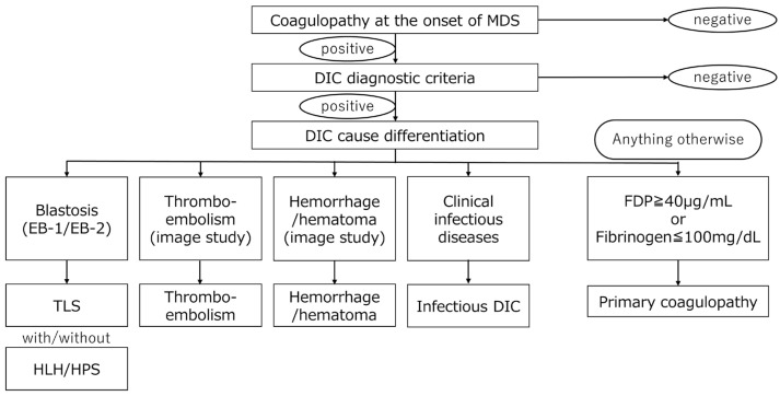 Characteristics of Myelodysplastic Syndrome with Coagulation Abnormalities and Tailored Diagnosis and Treatment.