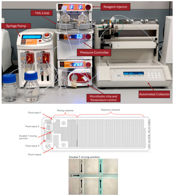 Microfluidic Assembly of Poly(glutamic acid) Nanogels Through SPAAC Click Chemistry.