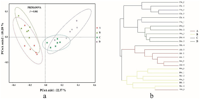 Characteristics of gut microbiota in <i>Penaeus vannamei</i> shifted with elevated salinity.