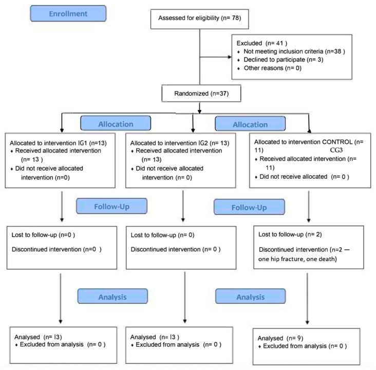 Efficacy of a Multicomponent Occupational Therapy Intervention on Balance, Functional Mobility, and Proprioception in Institutionalized Older Adults: A Randomized Controlled Pilot Trial.