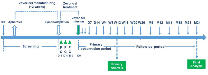 Phase II study of zevorcabtagene autoleucel, a fully human BCMA-targeting CAR T cell therapy, in patients with relapsed/refractory multiple myeloma.