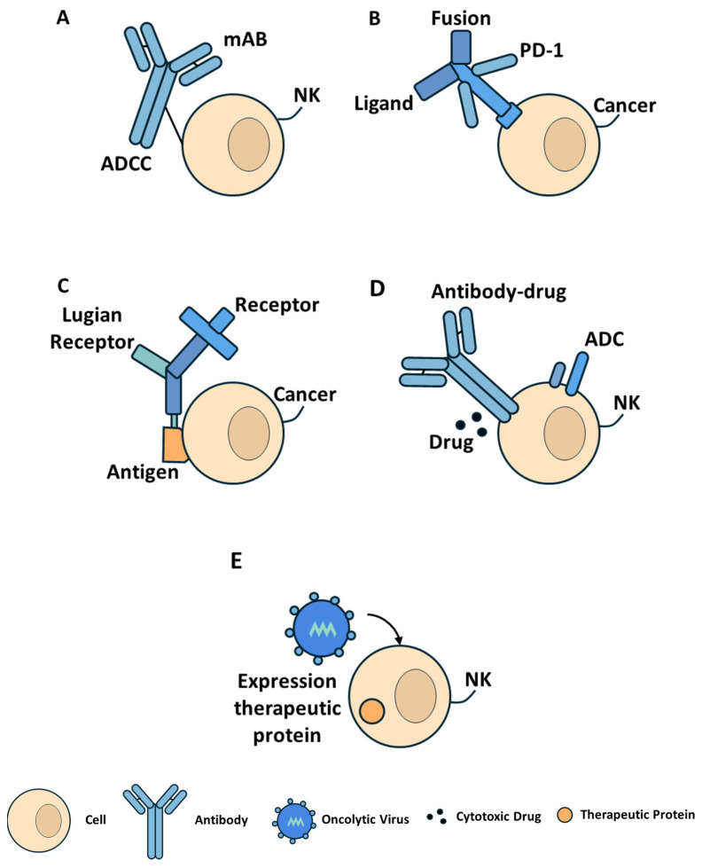 Protein and Peptide in Cancer Research: From Biomarker to Biotherapeutics.