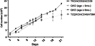 Biocompatibility of Genetically-Engineered Pig Cornea in Corneal Xenotransplantation: Preliminary In Vitro Study.