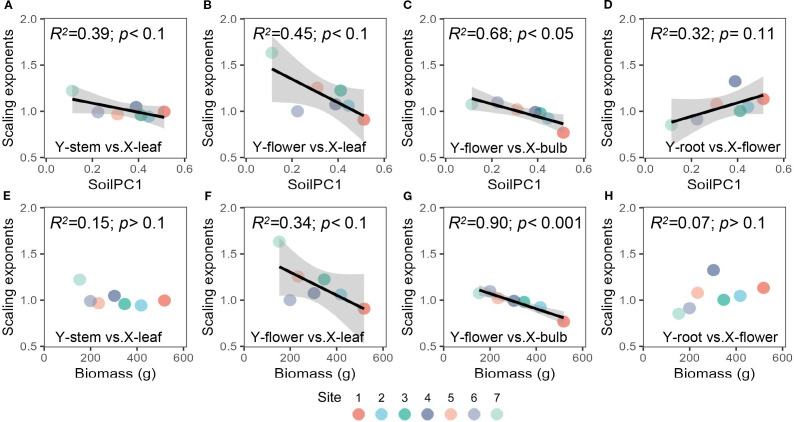 Soil and plant communities co-regulating plant biomass allocation patterns along a saline-alkali gradient, case study of <i>Allium ramosum</i> in Songnen Grassland, Northeast China.