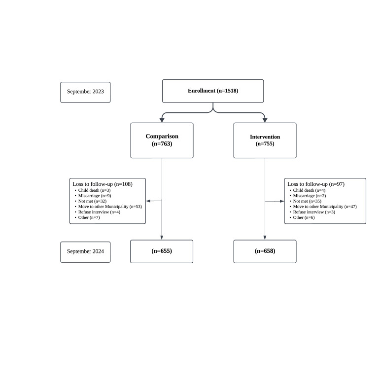 Impact of home-visit counselling on maternal and child health and nutrition by Barangay health workers: a quasi-experimental study from Eastern Visayas, Philippines.