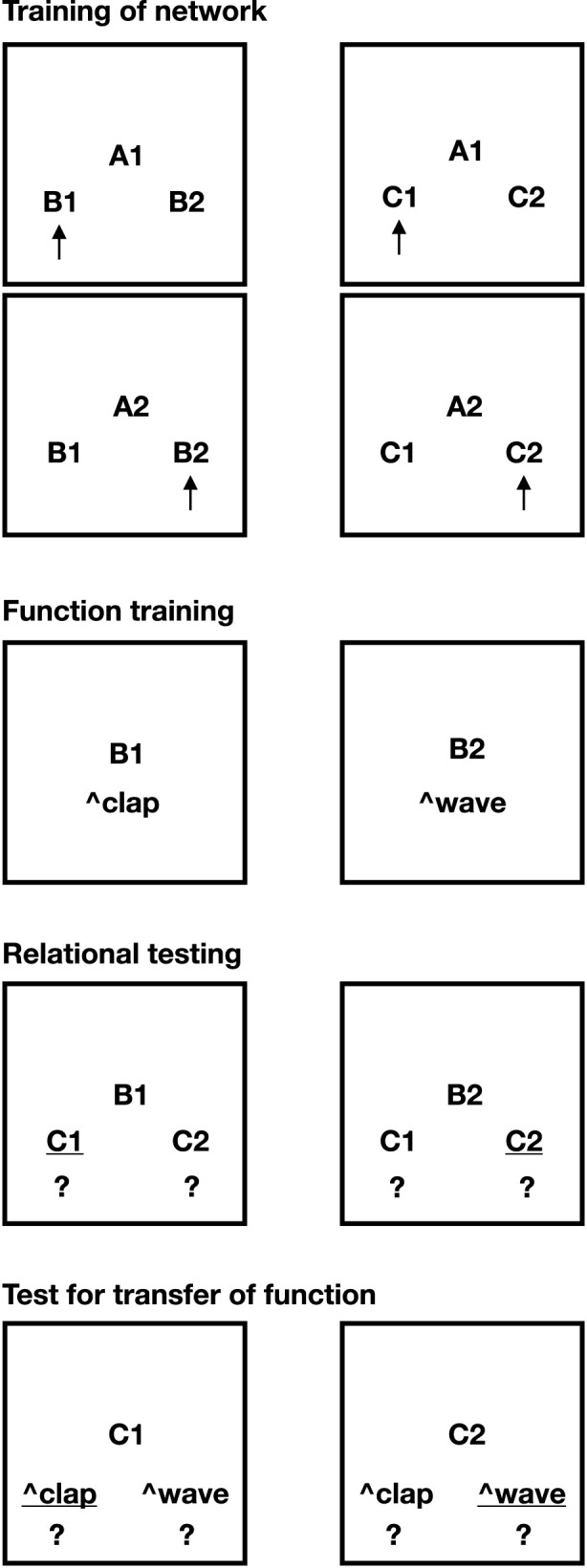 Modeling arbitrarily applicable relational responding with the non-axiomatic reasoning system: a Machine Psychology approach.