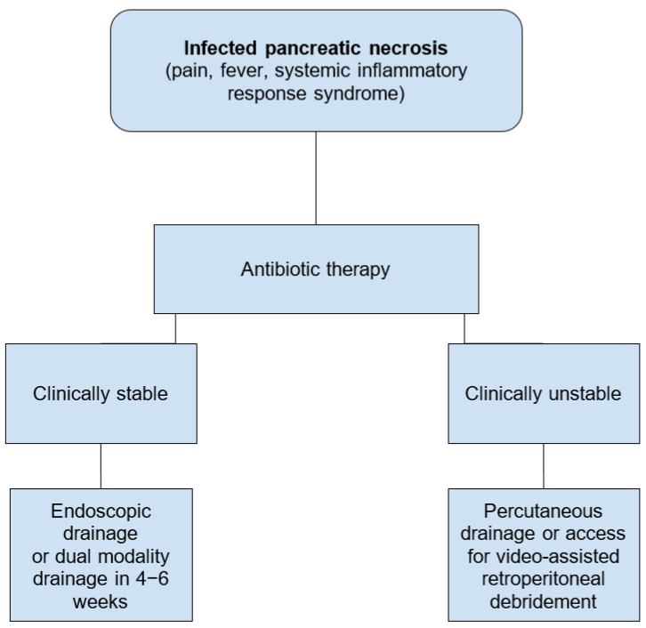 Interventional Management of Acute Pancreatitis and Its Complications.