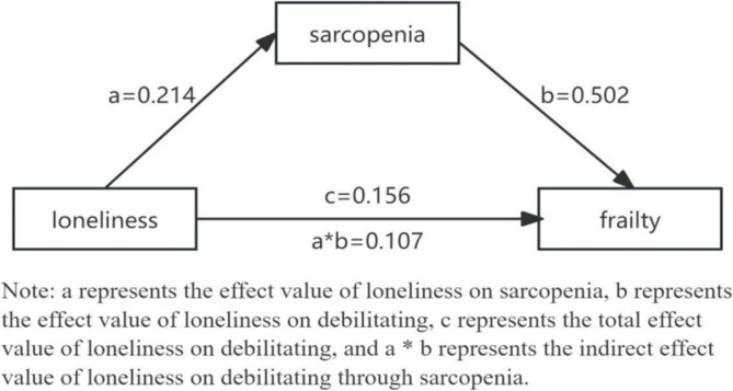 The mediating role of sarcopenia in the link between loneliness and frailty among nursing home residents: a cross-sectional study.