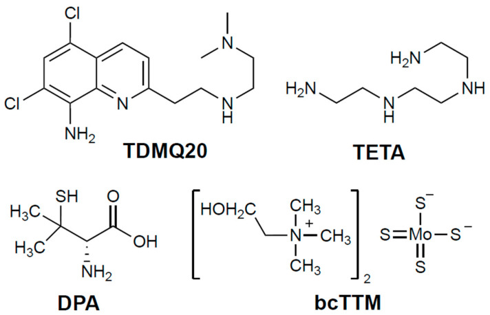 TDMQ20 as A Drug Candidate for Wilson's Disease: Comparison with D-Penicillamine, Trientine, and Tetrathiomolybdate In Vitro and In Mice.