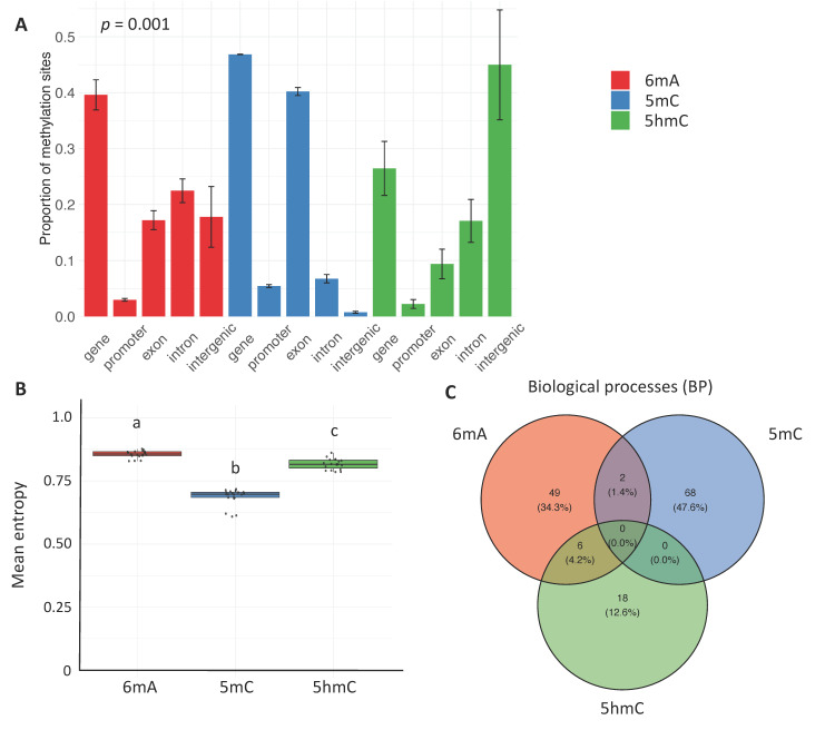 Comparative Mapping of N6-Methyladenine, C5-Methylcytosine, and C5-Hydroxymethylcytosine in a Single Species Reveals Constitutive, Somatic- and Germline-Specific, and Age-Related Genomic Context Distributions and Biological Functions.