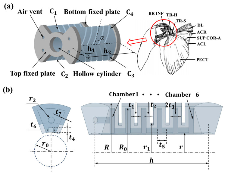 Design and Machine Learning Modeling of a Multi-Degree-of-Freedom Bionic Pneumatic Soft Actuator.
