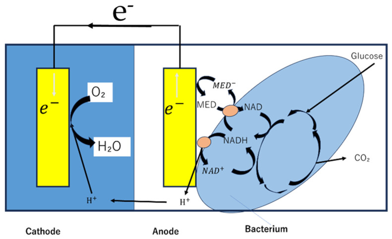 Recent Advances in Microfluidic Biofuel Cells.