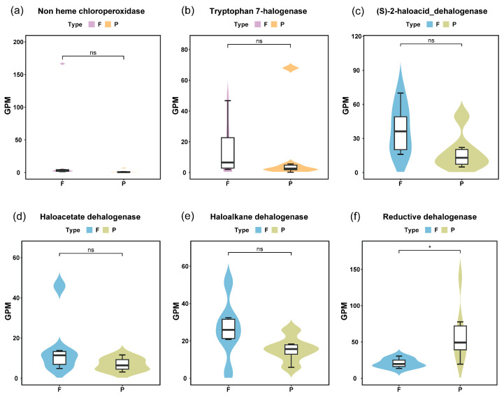 Halogenation and Dehalogenation Potential of Microorganisms in Yangtze River Waters.