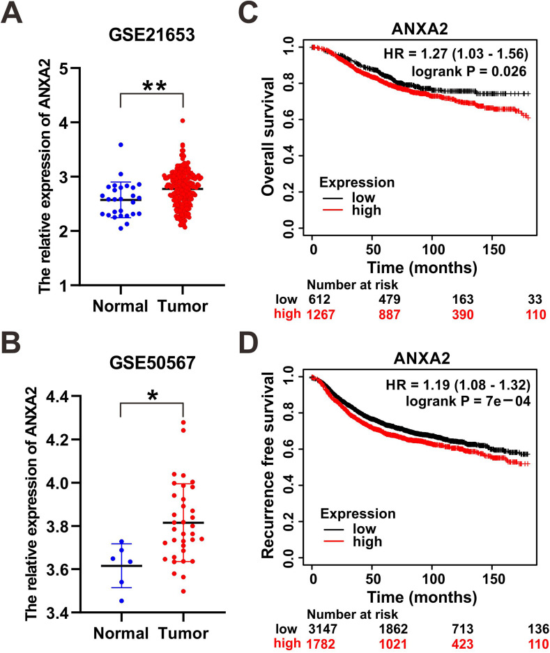 ANXA2 Regulates RANKL-Induced Osteoclast Differentiation Through STAT3 Signaling in Breast Cancer.