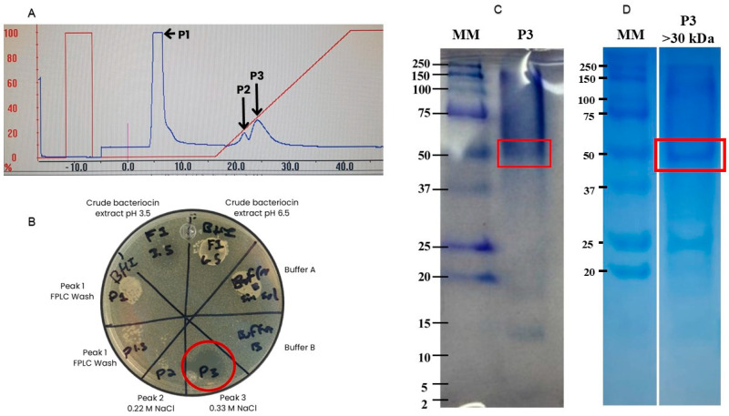 Purification and Characterization of Enterocins A, B, and a Novel High-Mass Bacteriocin from <i>Enterococcus lactis</i>-67 with Antilisterial Activity.