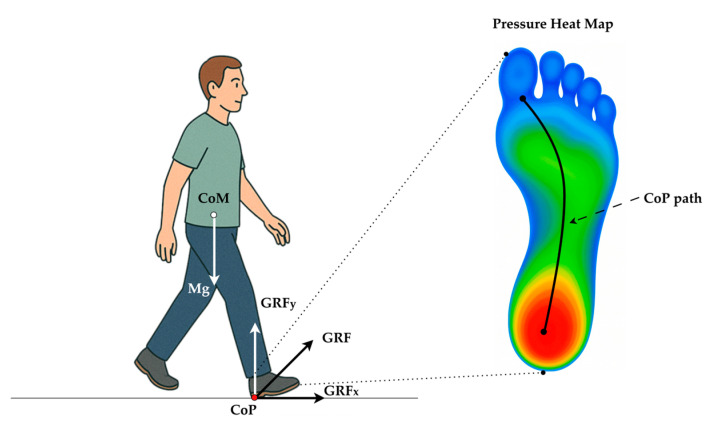 Multi-Domain CoP Feature Analysis of Functional Mobility for Parkinson's Disease Detection Using Wearable Pressure Insoles.