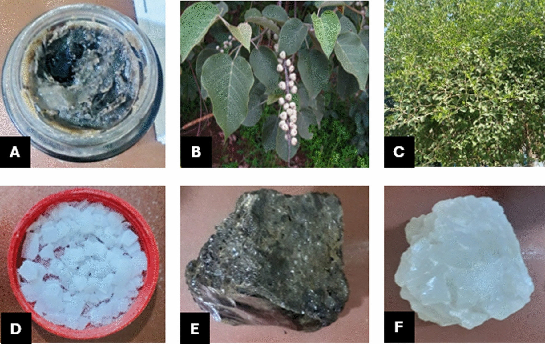 Traditional medicine practices for Cutaneous Leishmaniasis in Kalu District, South Wollo, Ethiopia.