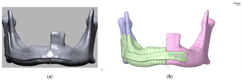 Data-Driven Design and Additive Manufacturing of Patient-Specific Lattice Titanium Scaffolds for Mandibular Bone Reconstruction.