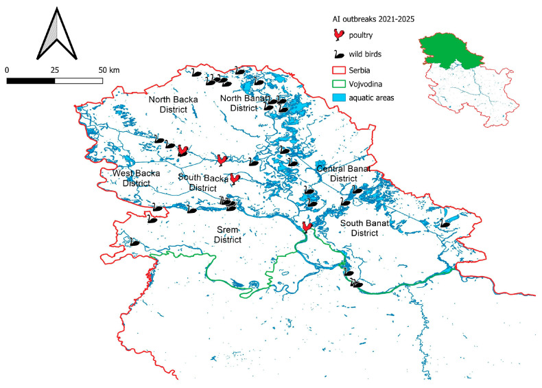 Temporal Dynamics and Surveillance of Highly Pathogenic H5 Avian Influenza in Wild Birds in Northern Serbia (2016-2025).