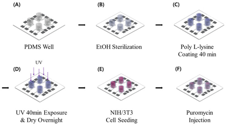 Quantitative IC<sub>50</sub> Analysis of Puromycin-Induced Cytotoxicity in NIH/3T3 Cells Using a Multi-Well Array Impedance Biosensor.
