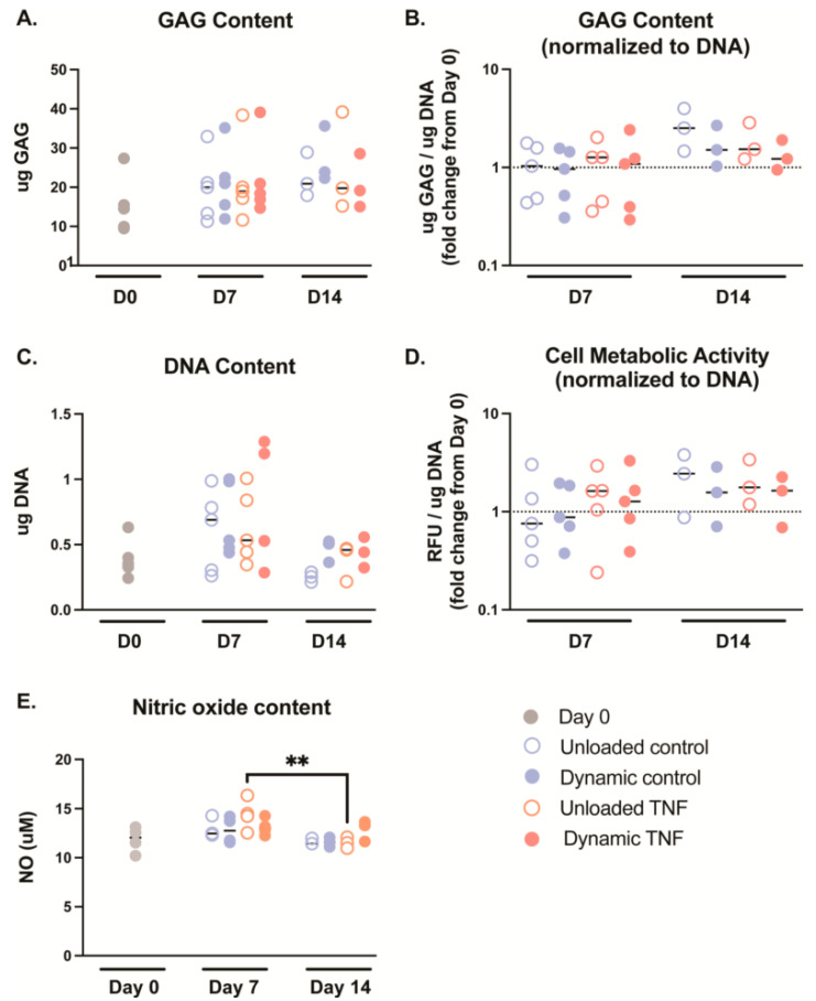 Exploring Mechanotransduction and Inflammation in Human Cartilaginous Endplate Cells in Blended Collagen-Agarose Hydrogels Under Cyclic Compression.