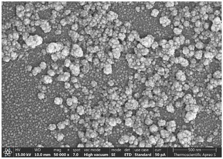 In Vitro Antifungal Activity of Amphotericin B-Encapsulated Silk Fibroin-Chitosan Nanoparticles Against <i>Fusarium solani</i> Isolates from Keratitis Patients.