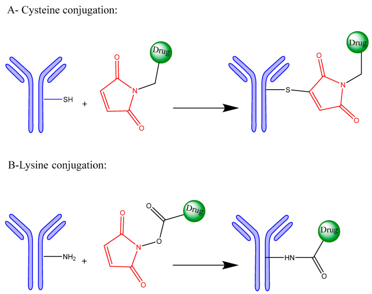 Strategic and Chemical Advances in Antibody-Drug Conjugates.