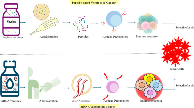 Next-generation cancer vaccines: targeting cryptic and non-canonical antigens for precision immunotherapy.