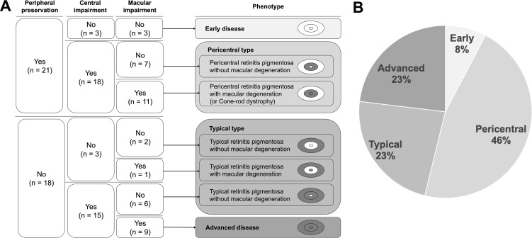 Deep phenotyping of eyes shut homolog-associated retinopathy based on visual impairment patterns.