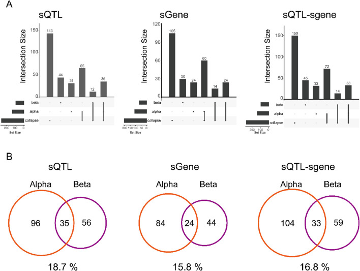 Single-cell splicing QTL analysis in pancreatic islets.