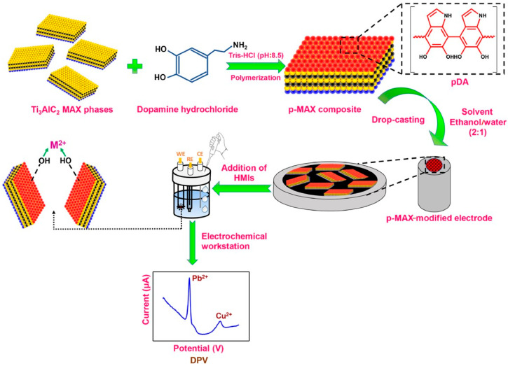 Melanin-Related Materials in Electrochemical Sensors for Monitoring the Environment and Food.