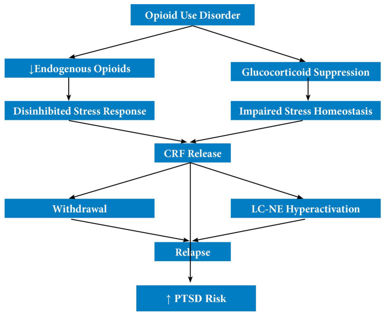 Post-Heroin Post-Traumatic Stress Disorder Spectrum: Heroin Addiction as a Generator of Trauma Sensitisation in Everyday Life: A Perspective Review.