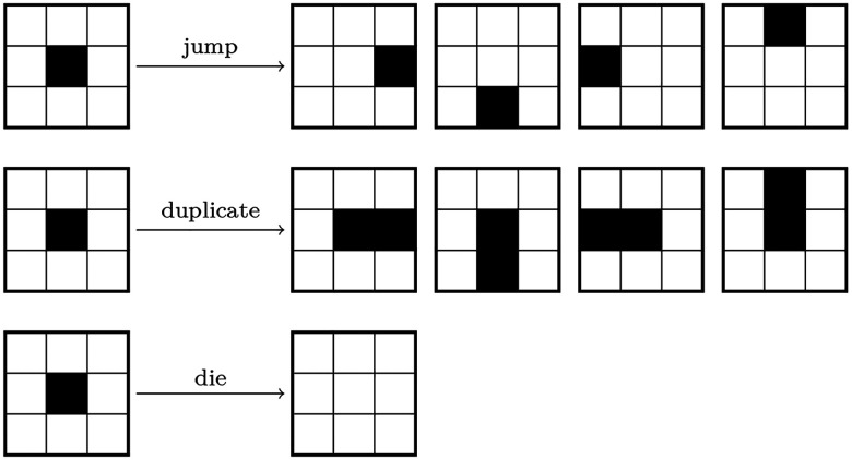 Ising energy model for the stochastic prediction of tumor islets.