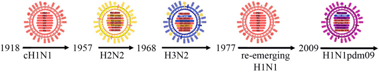 Cases of Interspecies Transmission of Influenza A Virus from Swine to Humans.
