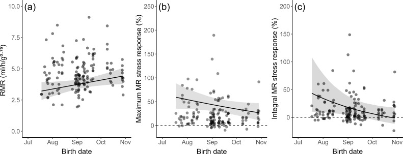 Associations between metabolic rate and personality in a free-living small mammal are driven by date of birth.