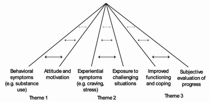 Tracking progress via clinical feedback systems in treatment of substance use disorders: a qualitative study exploring patients' response processes.