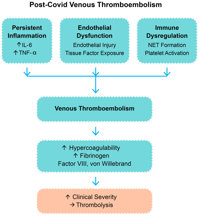 Hemodynamic and Clinical Predictors of Thrombolysis in Post-COVID Venous Thromboembolism: A Retrospective Cohort Study.