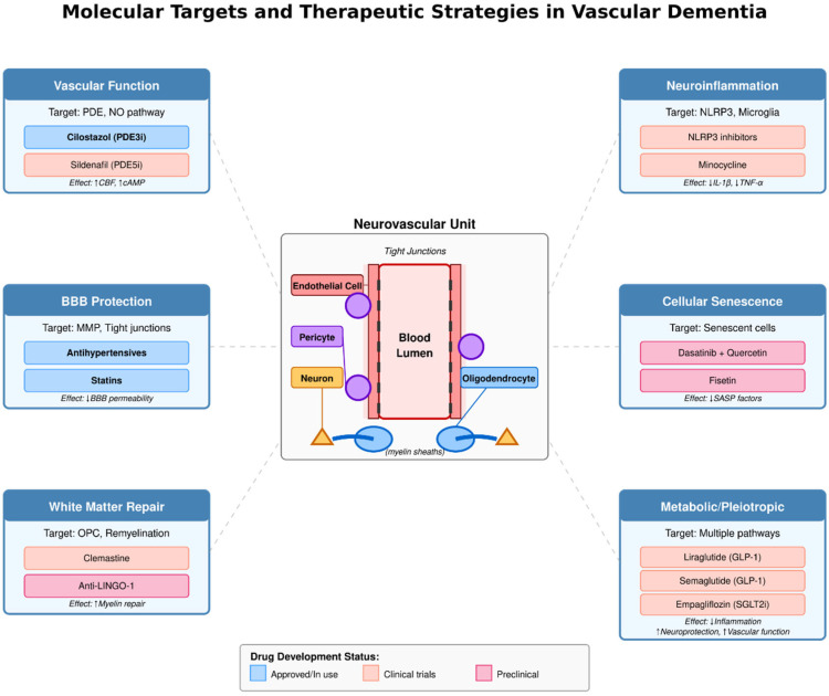 Vascular Dementia: From Pathophysiology to Therapeutic Frontiers.